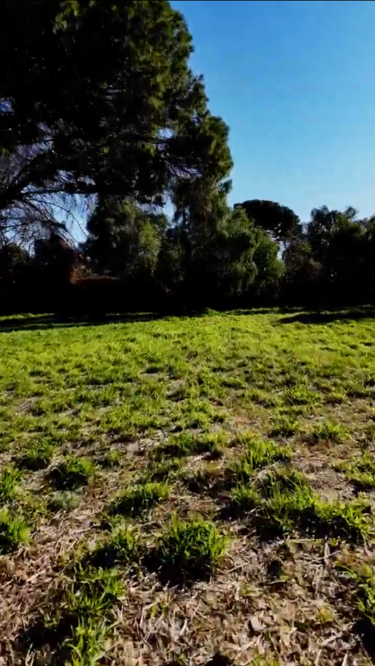 EN VENTA TERRENO IDEAL INVERSION - ZONA THOMPSON