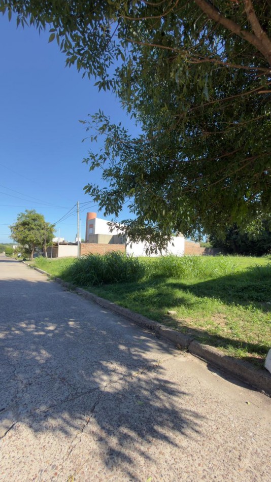 EN VENTA TERRENO EN LOTEO LOS LAPACHOS 1 - ZONA PARACAO