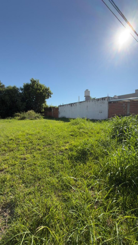 EN VENTA TERRENO EN LOTEO LOS LAPACHOS 1 - ZONA PARACAO