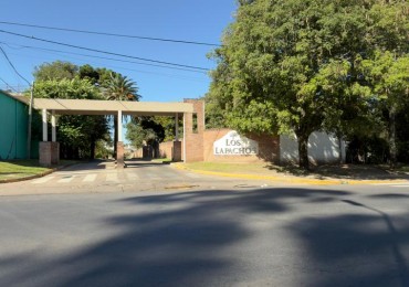 EN VENTA TERRENO EN LOTEO LOS LAPACHOS 1 - ZONA PARACAO