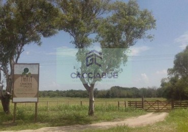 EN VENTA TERRENOS - CHACRAS DEL SAUCE 